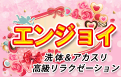 �y�G���W���C�z���������w�k�� ���̃A�J�X���G�X�e