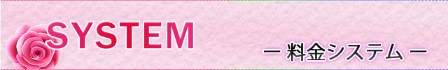 「System Title」